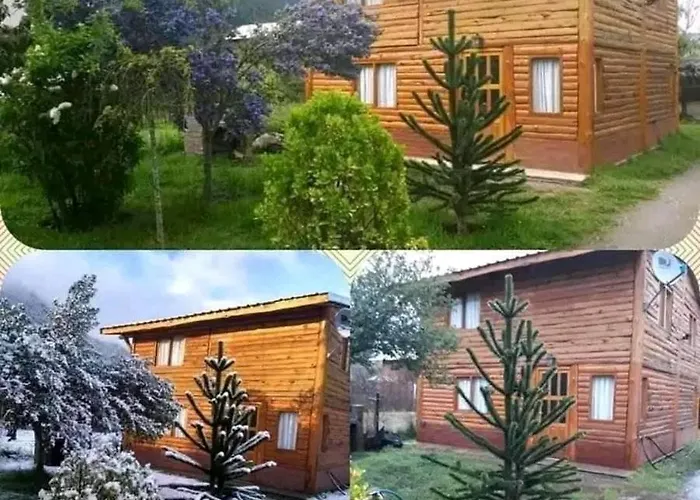 Murmullos Del Bosque